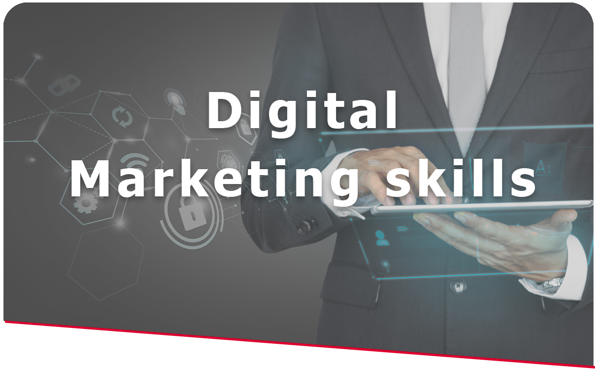 Smelt Academy Digital marketing skills